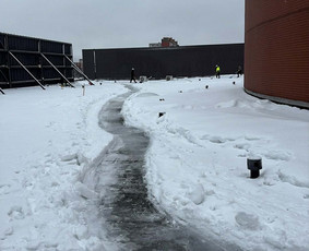 Aplinka, sodas - Sniego valymas nuo stogų - 3