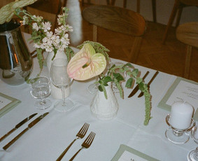 Vestuvių atributikos nuoma - &Scaron;venčių dekoravimas, kalėdiniai dekorai, rekvizitų nuoma - 2