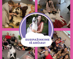 Pramogos vaikams - Gyva edukacija su &scaron;unimi vaikams - 1