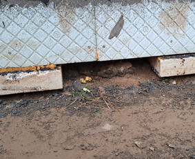 Ekspertizė, Kokybės patikra, Nepriklausomas ekspertas / MB Ntpatikra / Darbų pavyzdys ID 4295697