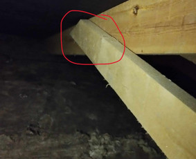Ekspertizė, Kokybės patikra, Nepriklausomas ekspertas / MB Ntpatikra / Darbų pavyzdys ID 4295717