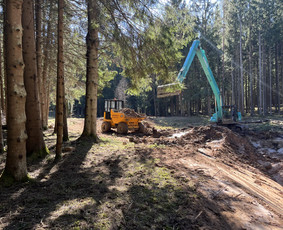 Dumperių nuoma ,Tralo paslaugos, Fiskaras / Dumperis.lt / Darbų pavyzdys ID 4295779