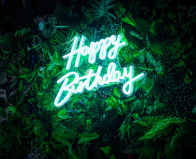 &Scaron;ventinės įrangos nuoma - Tropical foto sienos nuoma ir kitų dekoracijų nuoma, Vilnius - 3