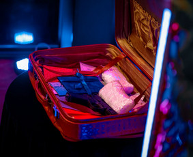 &Scaron;ventinės įrangos nuoma - Tropical foto sienos nuoma ir kitų dekoracijų nuoma, Vilnius - 4