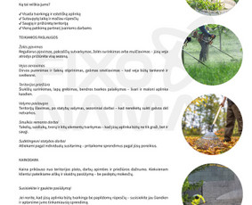 Sniego i&scaron;vežimas - Teritorijų priežiūra - 1