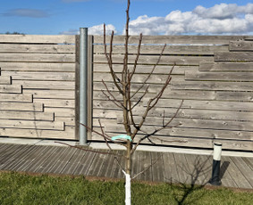 Apželdinimo paslaugos-projektavimas,įgyvendinimas,priežiūra / Nerija gardens / Darbų pavyzdys ID 4299427