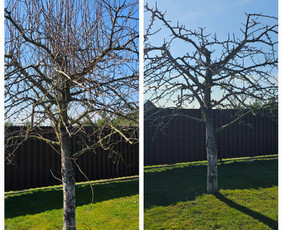 Apželdinimo paslaugos-projektavimas,įgyvendinimas,priežiūra / Nerija gardens / Darbų pavyzdys ID 4299457