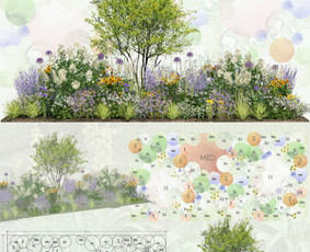 Apželdinimo paslaugos-projektavimas,įgyvendinimas,priežiūra / Nerija gardens / Darbų pavyzdys ID 4299463