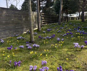 Apželdinimo paslaugos-projektavimas,įgyvendinimas,priežiūra / Nerija gardens / Darbų pavyzdys ID 4299527