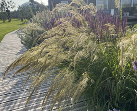 Aplinka, sodas - Apželdinimo paslaugos-projektavimas,įgyvendinimas,priežiūra - 1