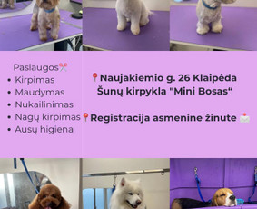 &Scaron;unų, kačių kirpyklos - &Scaron;unų kirpimas/nukailinimas - 1