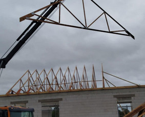 Fiskaras, fiskaro paslaugos - Ivairiu Krovinu Pervezimai- Atvezimai - 3