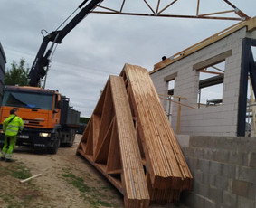 Kroviniu Pervezimas / MB P CARGO / Darbų pavyzdys ID 4299937