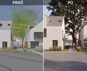 Profesionalios 3D vizualizacijos. Kainos ir kokybės santykis / VisualHomeStudioX / Darbų pavyzdys ID 4300513