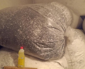 Aplinka, sodas - Polistirolo granulės - 2