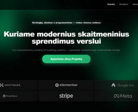 Interneto svetainių kūrimas - Svetainių kūrimas, kuris atne&scaron;a užklausas - 1