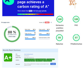 Interneto svetainių kūrimas - Internetinių svetainių, web aplikacijų kūrimas - 2