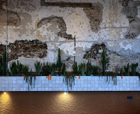 Vidaus augalų priežiūra - Vidaus augalai: želdinimas, priežiūra - 1