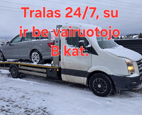 Transportas - Traliukas 24/7, su ir be vairuotojo - 1