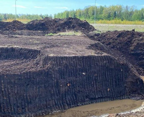 Aplinka, sodas - Durpės (durpingas gruntas) - 2