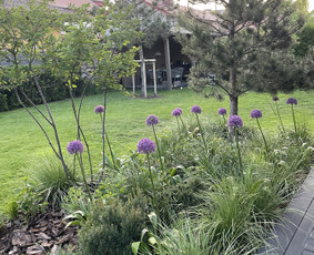 Aplinka, sodas - Apželdinimo paslaugos-projektavimas,įgyvendinimas,priežiūra - 2