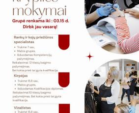 Socialinių tinklų administravimas/ reels kūrimas/mokymai / Lina Stankunaite / Darbų pavyzdys ID 4303783