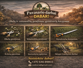 Aplinka, sodas - Obelų, genėjimas. Krūmų pjovimas. Gyvatvorių karpymas - 1