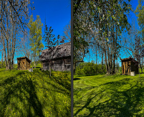 Obelų, genėjimas. Krūmų pjovimas. Gyvatvorių karpymas / Sodoera MB / Darbų pavyzdys ID 4303805
