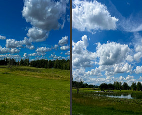 Obelų, genėjimas. Krūmų pjovimas. Gyvatvorių karpymas / Sodoera MB / Darbų pavyzdys ID 4303813