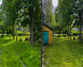 Obelų, genėjimas. Krūmų pjovimas. Gyvatvorių karpymas / Sodoera MB / Darbų pavyzdys ID 4303815