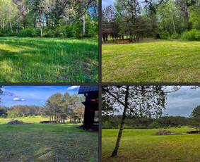 Žolės pjovimas - Obelų, genėjimas. Krūmų pjovimas. Gyvatvorių karpymas - 2