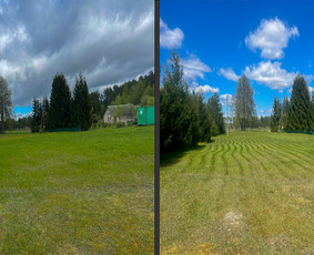 Žolės pjovimas - Obelų, genėjimas. Krūmų pjovimas. Gyvatvorių karpymas - 3