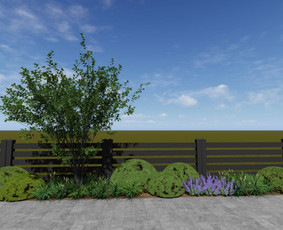 Vidaus augalų priežiūra - Kra&scaron;tovaizdžio projektavimas, įrengimas ir priežiūra - 1