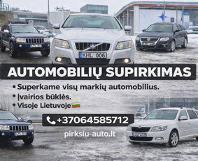 Automobilių supirkimas / MB MELGRETA / Darbų pavyzdys ID 4304107