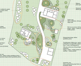 Aplinka, sodas - Kra&scaron;tovaizdžio projektai. Konsultacijos. Želdynų projektai. - 1