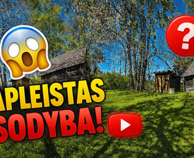 Obelų, genėjimas. Krūmų pjovimas. Gyvatvorių karpymas / Sodoera MB / Darbų pavyzdys ID 4304135