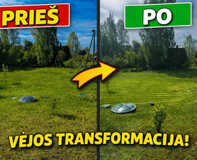 Žolės pjovimas - Obelų, genėjimas. Krūmų pjovimas. Gyvatvorių karpymas - 4