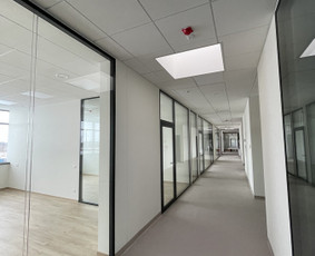 Armstrong lubų montavimas - Armstrong lubų montavimas - 2