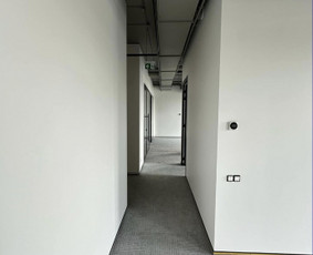 Sienų dažymas - Glaistymas, dažymas - 3