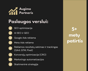 Rinkodara (marketingas) - Seo + Google Ads, kurie realiai atveda klientus + Ai Seo - 2