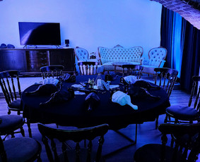 Renginių organizavimas - Renginių erdvės nuoma Kaune - 4