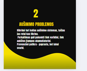 Paslaugos verslui - Socialinių tinklų strategija ir administravimas verslams - 3