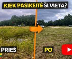 Pievų &scaron;ienavimas - Obelų, genėjimas. Krūmų pjovimas. Gyvatvorių karpymas - 4