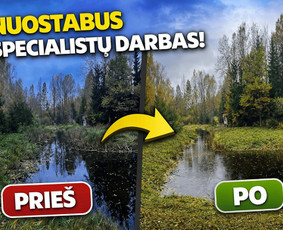 Aplinka, sodas - Obelų, genėjimas. Krūmų pjovimas. Gyvatvorių karpymas - 4