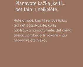 Socialinių tinklų strategija ir administravimas verslams / AIDA PETROŠIENĖ / Darbų pavyzdys ID 4305871