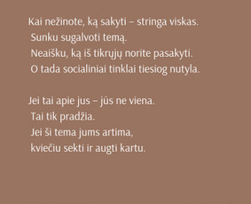 Socialinių tinklų strategija ir administravimas verslams / AIDA PETROŠIENĖ / Darbų pavyzdys ID 4305879