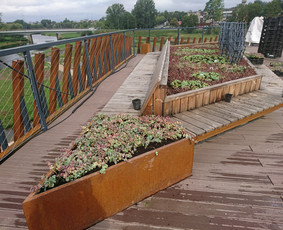 Kraštovaizdžio projektai, įgyvendinimas, priežiūra / MB ŠeiKin kraštovaizdis / Darbų pavyzdys ID 4306601