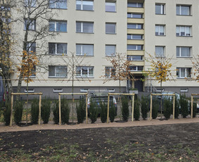 Kraštovaizdžio projektai, įgyvendinimas, priežiūra / MB ŠeiKin kraštovaizdis / Darbų pavyzdys ID 4306683