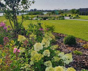 Alpinariumų, gėlynų įrengimas - Kra&scaron;tovaizdžio projektai, įgyvendinimas, priežiūra - 4