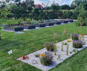 Kraštovaizdžio projektai, įgyvendinimas, priežiūra / MB ŠeiKin kraštovaizdis / Darbų pavyzdys ID 4306769